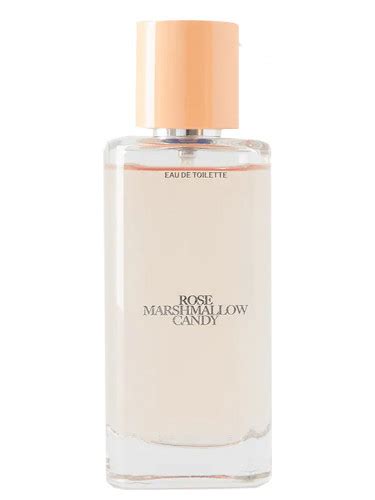 parfum velvet shadow zara|zara rose marshmallow candy.